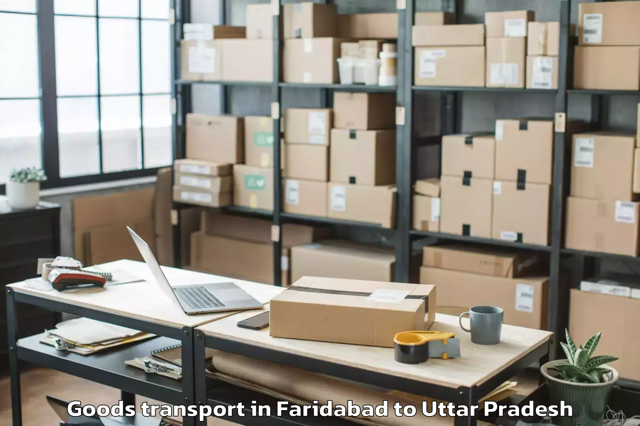 Book Faridabad to Lambhua Goods Transport